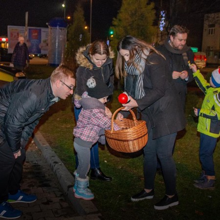 Wyświetl org. rozmiar