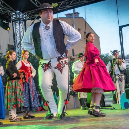 Wyświetl org. rozmiar
