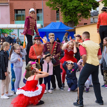 Wyświetl org. rozmiar