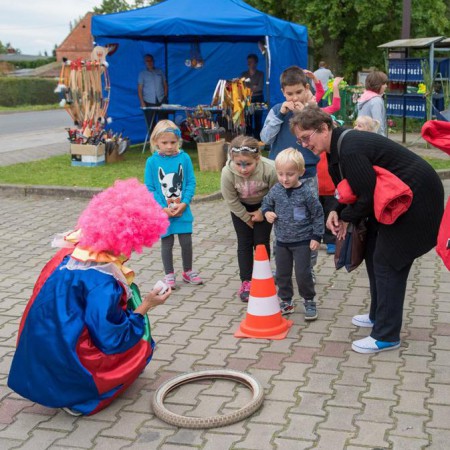 Wyświetl org. rozmiar