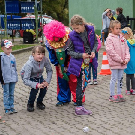 Wyświetl org. rozmiar