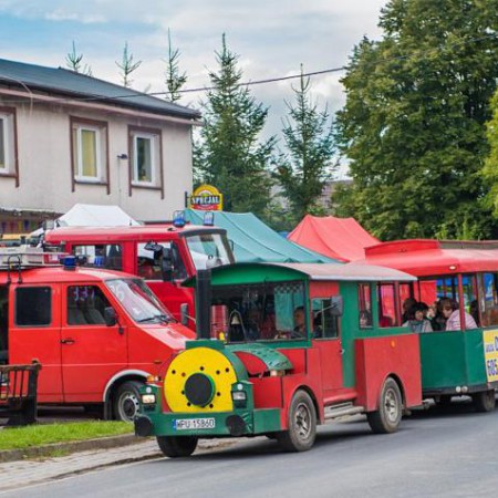 Wyświetl org. rozmiar