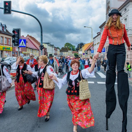 Wyświetl org. rozmiar