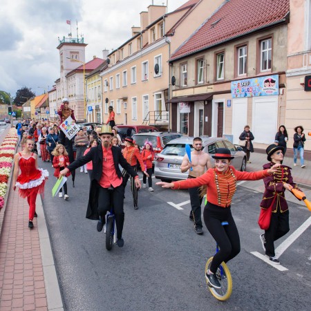 Wyświetl org. rozmiar