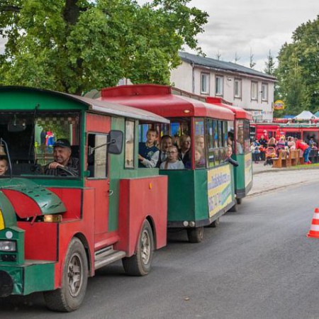 Wyświetl org. rozmiar