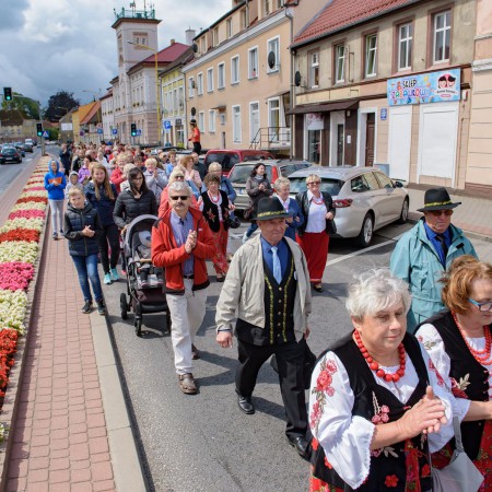 Wyświetl org. rozmiar