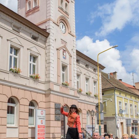 Wyświetl org. rozmiar