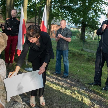 Wyświetl org. rozmiar