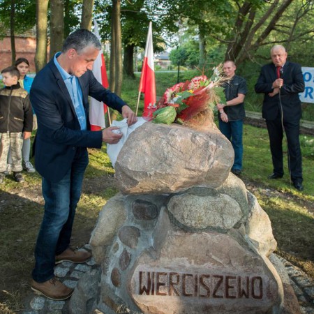 Wyświetl org. rozmiar
