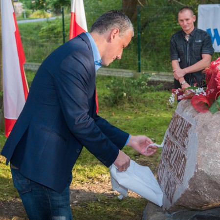 Wyświetl org. rozmiar