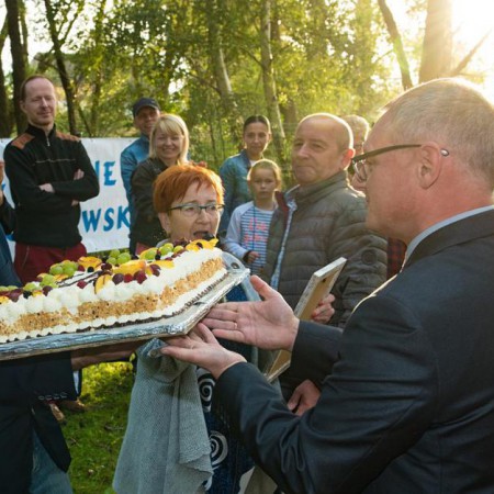 Wyświetl org. rozmiar
