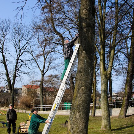 Wyświetl org. rozmiar