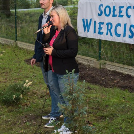 Wyświetl org. rozmiar