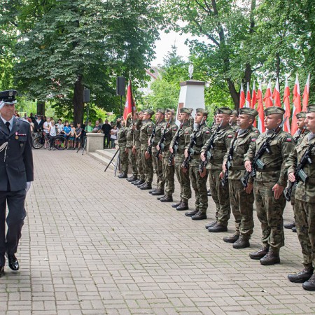 Wyświetl org. rozmiar