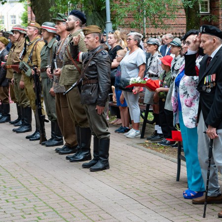 Wyświetl org. rozmiar