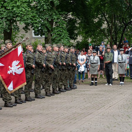 Wyświetl org. rozmiar