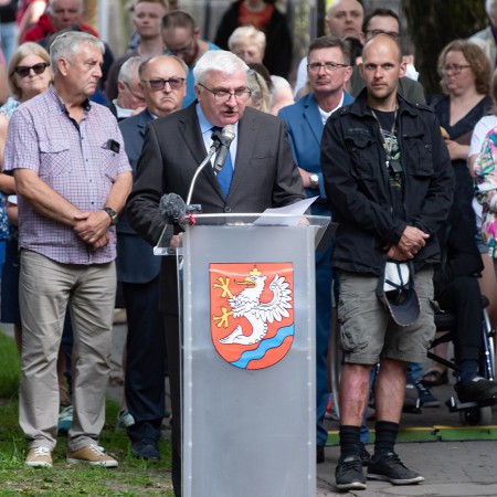 Wyświetl org. rozmiar