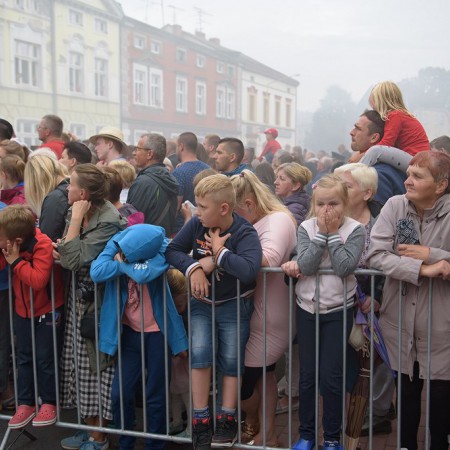 Wyświetl org. rozmiar