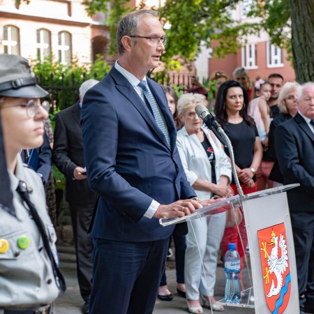 Wyświetl org. rozmiar