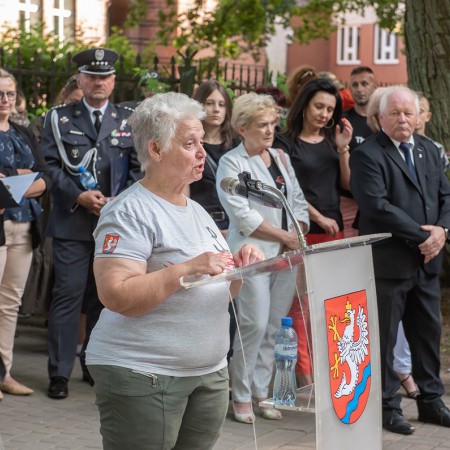 Wyświetl org. rozmiar