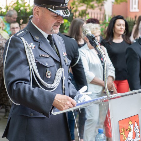 Wyświetl org. rozmiar