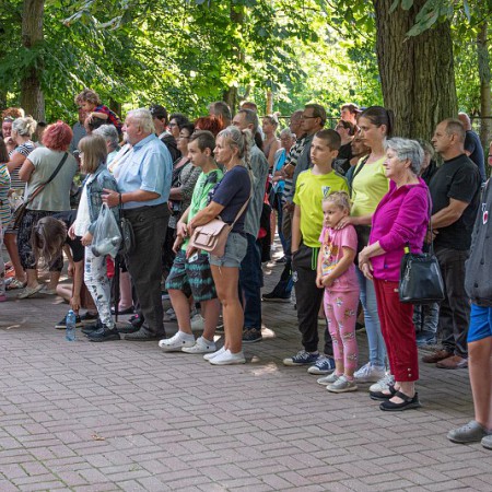 Wyświetl org. rozmiar