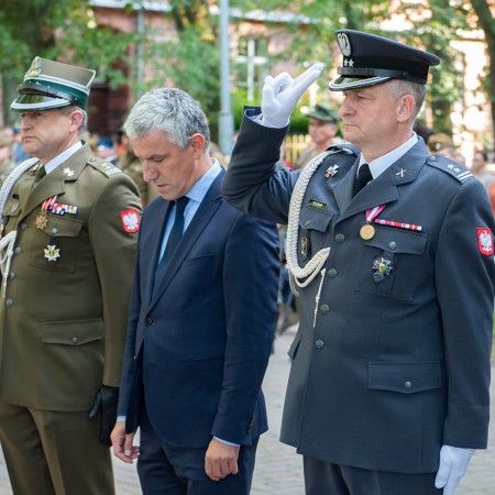 Wyświetl org. rozmiar