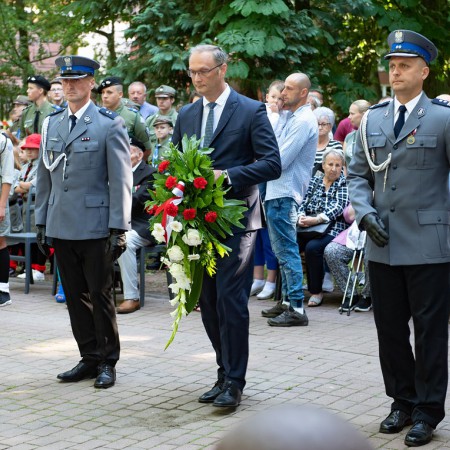 Wyświetl org. rozmiar