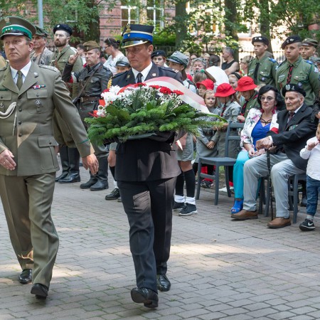 Wyświetl org. rozmiar