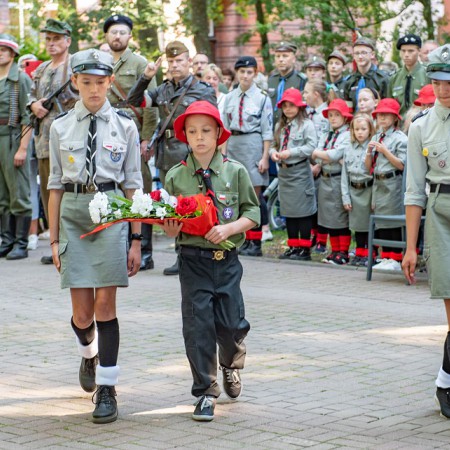 Wyświetl org. rozmiar