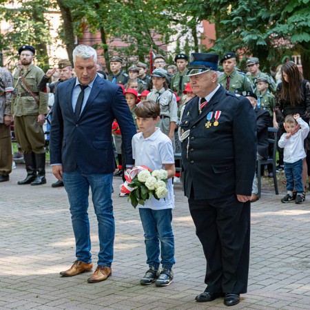 Wyświetl org. rozmiar