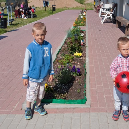 Wyświetl org. rozmiar