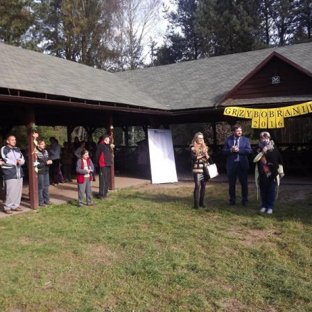 Wyświetl org. rozmiar
