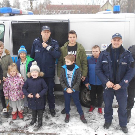 Wyświetl org. rozmiar