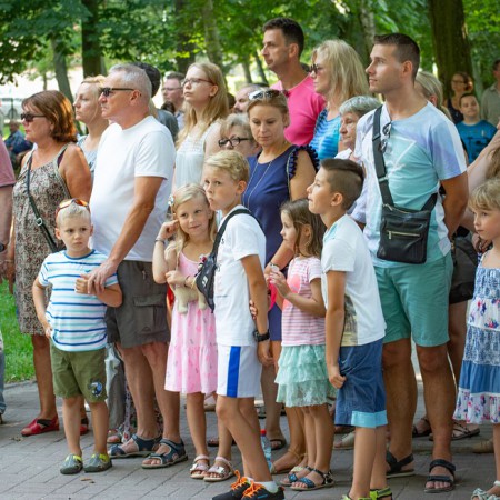 Wyświetl org. rozmiar