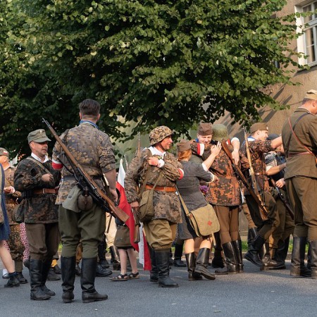 Wyświetl org. rozmiar