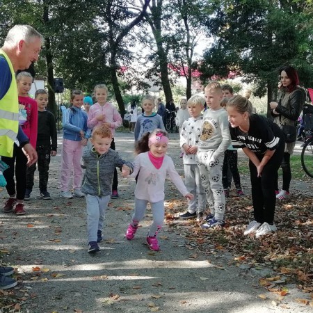 Wyświetl org. rozmiar