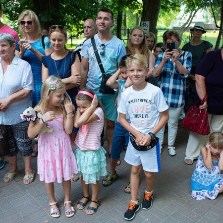 Wyświetl org. rozmiar