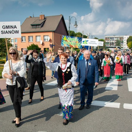 Wyświetl org. rozmiar