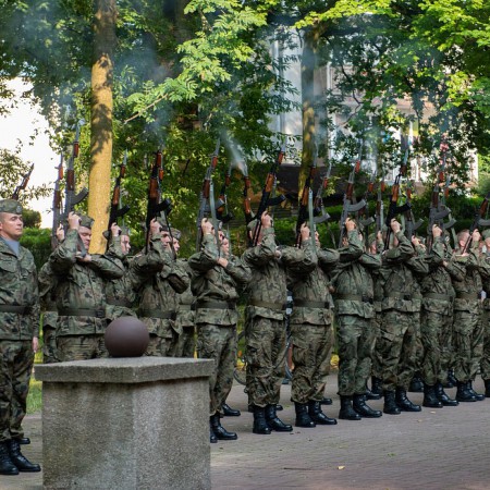 Wyświetl org. rozmiar