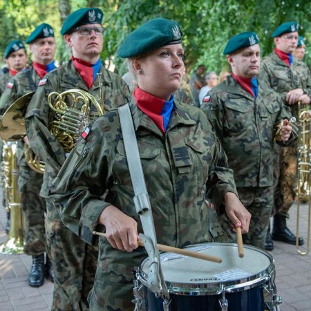 Wyświetl org. rozmiar