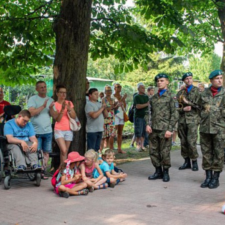 Wyświetl org. rozmiar