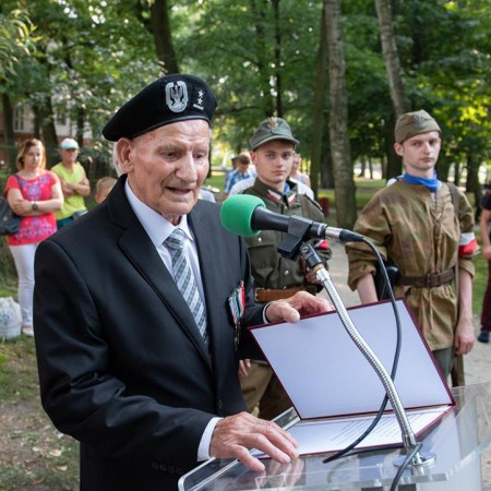 Wyświetl org. rozmiar