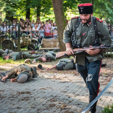 Wyświetl org. rozmiar