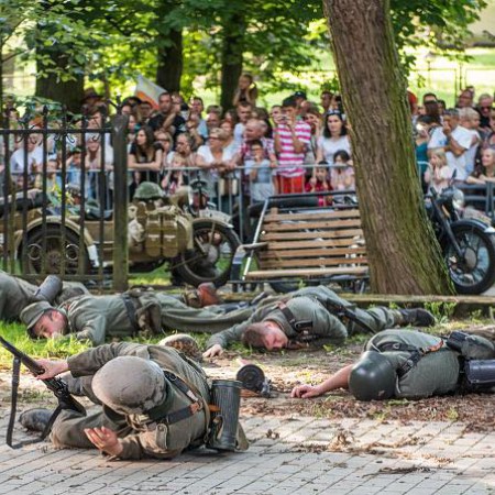 Wyświetl org. rozmiar