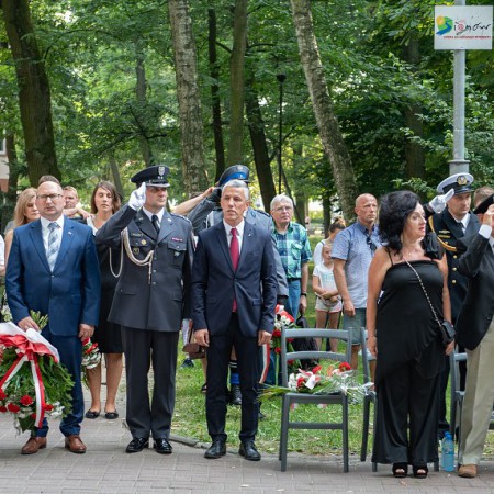 Wyświetl org. rozmiar