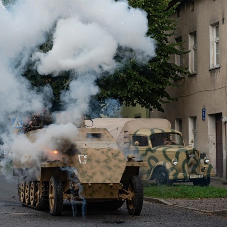 Wyświetl org. rozmiar