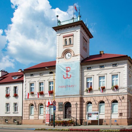 Wyświetl org. rozmiar