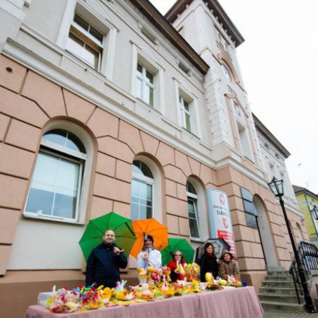 Wyświetl org. rozmiar