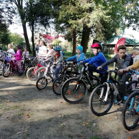 Wyświetl org. rozmiar